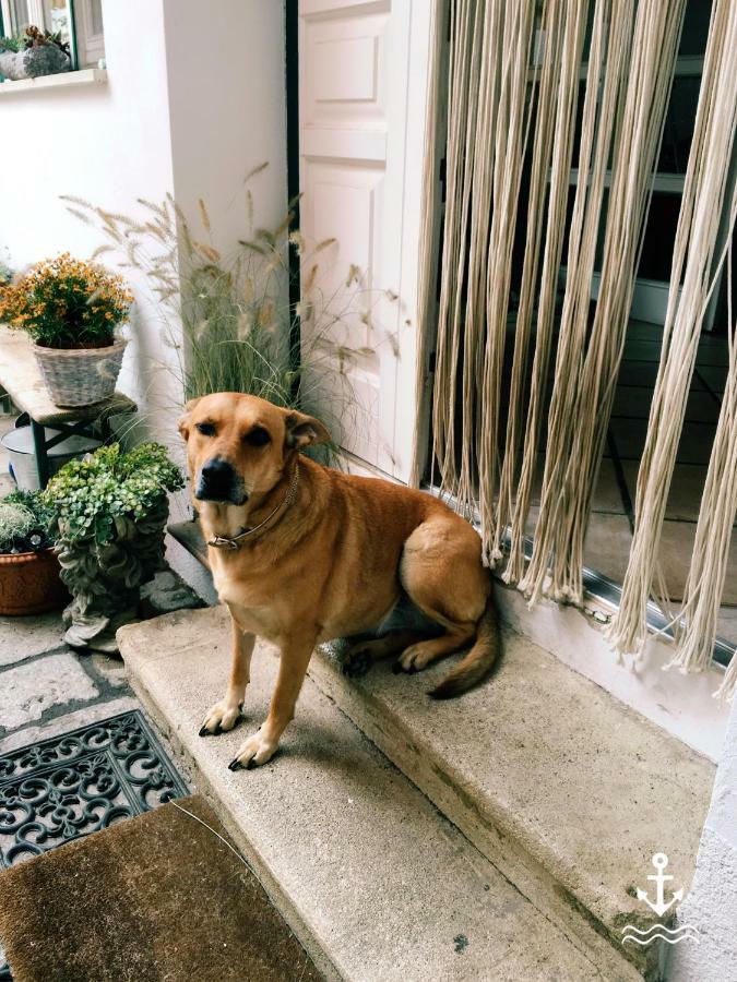 Gute Stube Apartment ไวเดน อัม ซี ภายนอก รูปภาพ